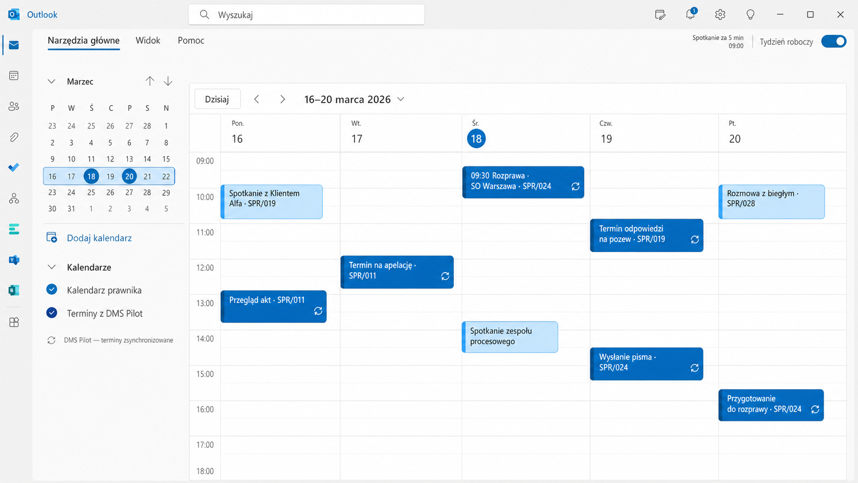 Polski widok kalendarza Microsoft Outlook z fikcyjnymi terminami z DMS Pilot